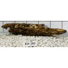 Bogwood 280