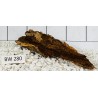 Bogwood 280