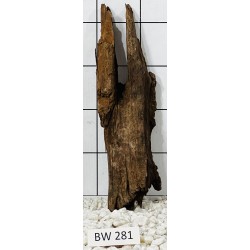 Bogwood 281