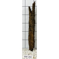 Bogwood 282