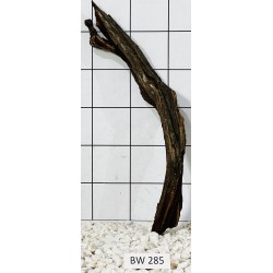 Bogwood 285