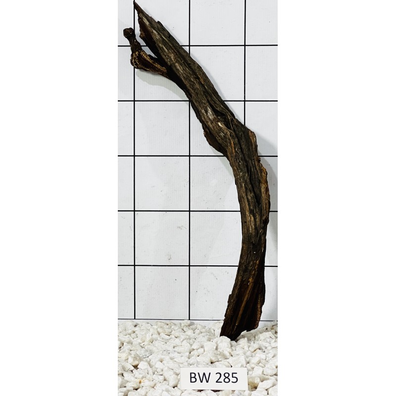 Bogwood 285