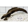 Bogwood 285