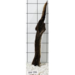 Bogwood 286