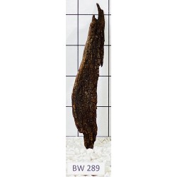 Bogwood 289