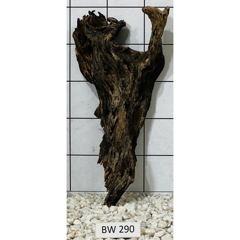 Bogwood 290