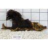 Bogwood 290