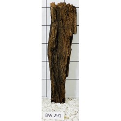 Bogwood 291