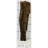 Bogwood 291