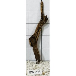 Bogwood 293