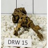 Dragonwood 15