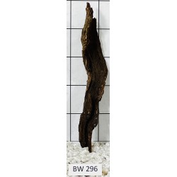 Bogwood 296