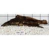 Bogwood 297