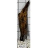Bogwood 297
