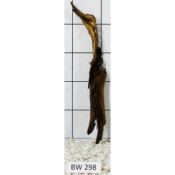 Bogwood 298