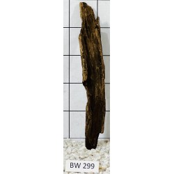 Bogwood 299