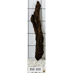 Bogwood 300