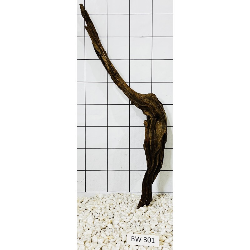 Bogwood 301