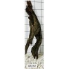 Bogwood 302