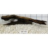 Bogwood 302