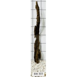 Bogwood 303