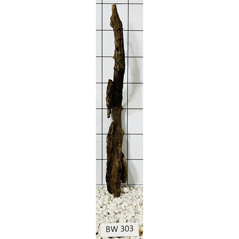 Bogwood 303