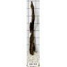Bogwood 303