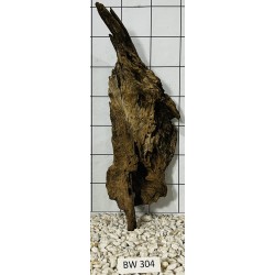 Bogwood 304