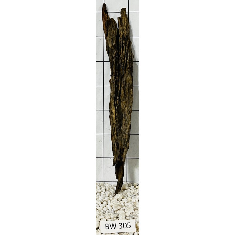 Bogwood 305