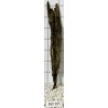 Bogwood 305