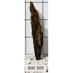 Bogwood 309