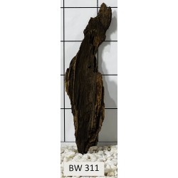 Bogwood 311