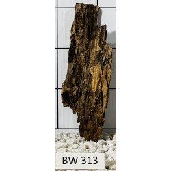 Bogwood 313