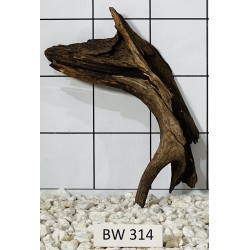 Bogwood 314