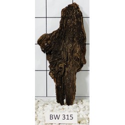 Bogwood 315