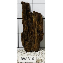 Bogwood 316