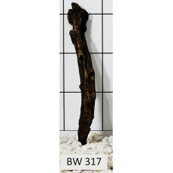 Bogwood 317
