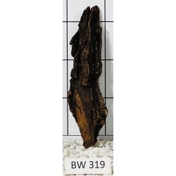 Bogwood 319