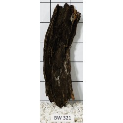 Bogwood 321