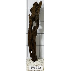 Bogwood 322