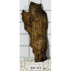 Bogwood 323