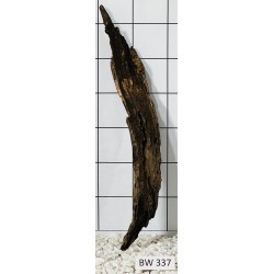 Bogwood 337