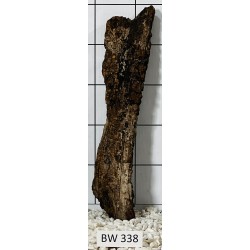 Bogwood 338
