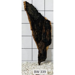 Bogwood 339