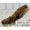 Dragonwood 20