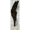 Bogwood 341