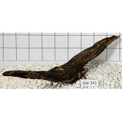 Bogwood 341