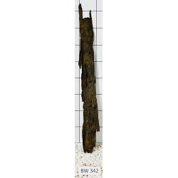 Bogwood 342