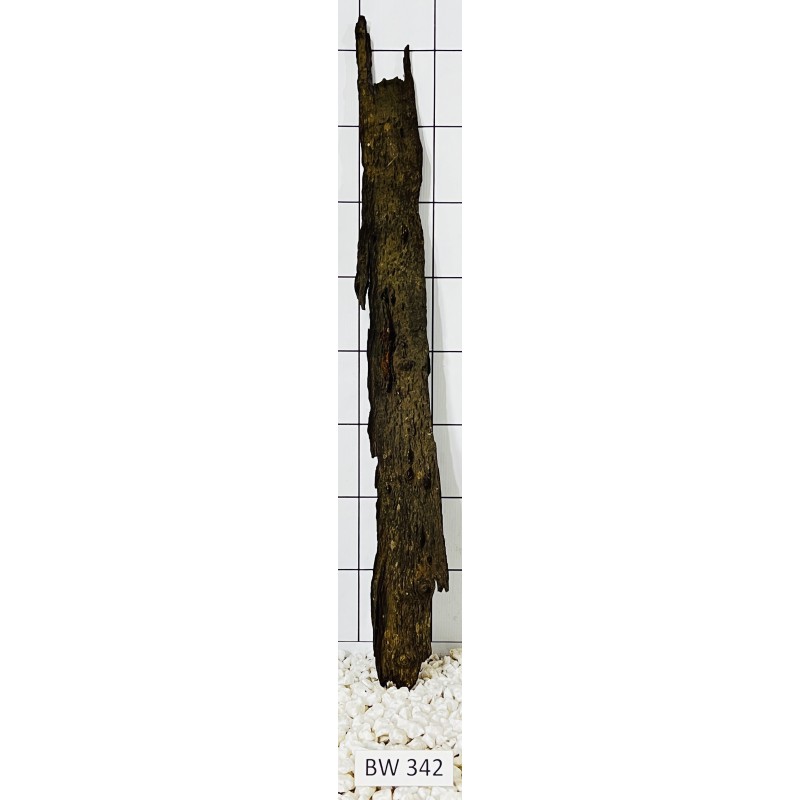 Bogwood 342