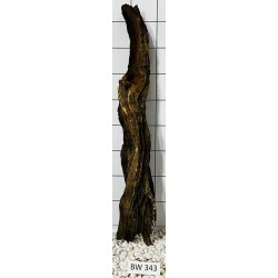 Bogwood 343